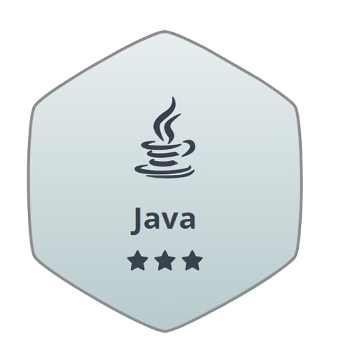 Hackerrank Java
